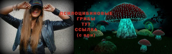 кокс Каменка