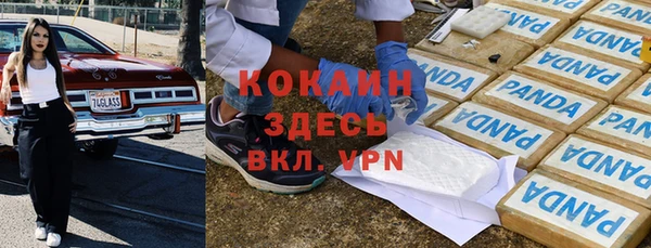 PSILOCYBIN Карталы