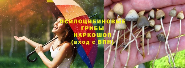 кокс Каменка